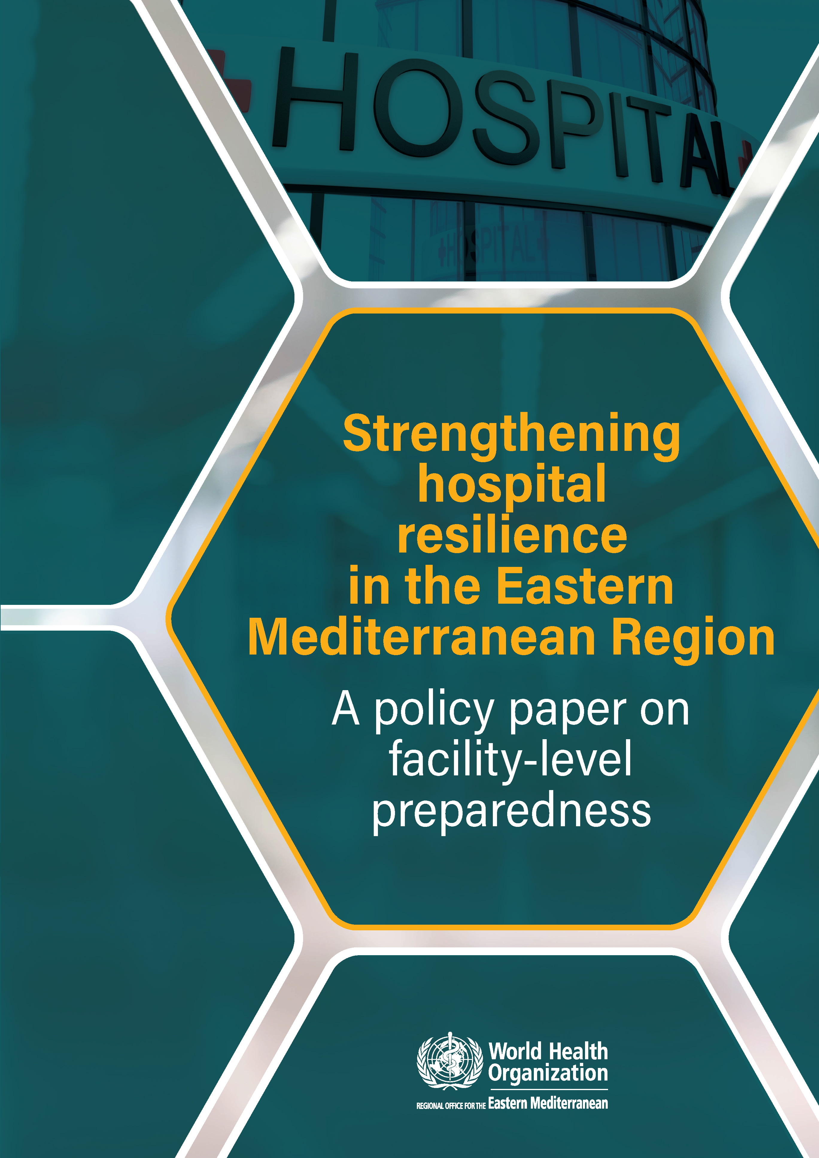 Strengthening hospital resilience in the Eastern Mediterranean Region: a policy paper on facility-level preparedness