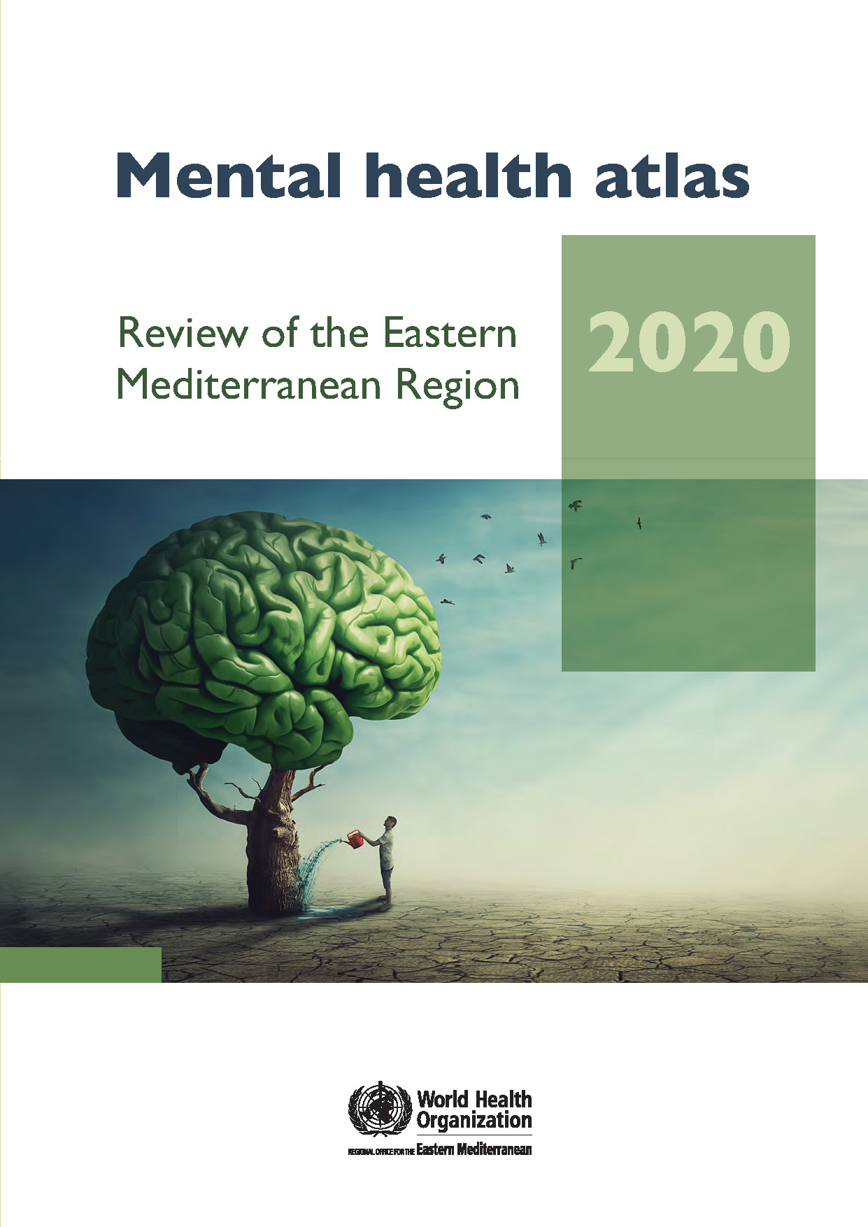 Mental health atlas 2020: review of the Eastern Mediterranean Region